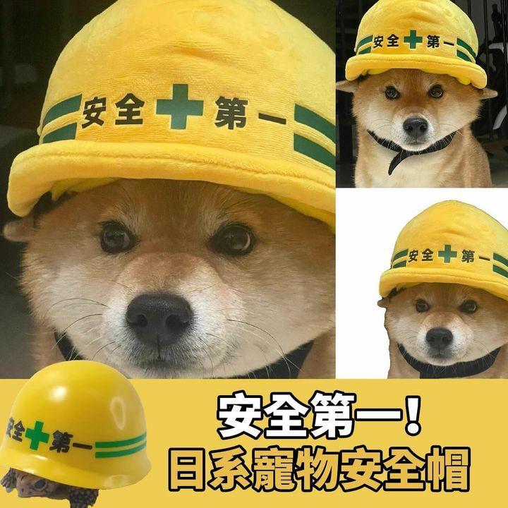 日系寵物安全帽