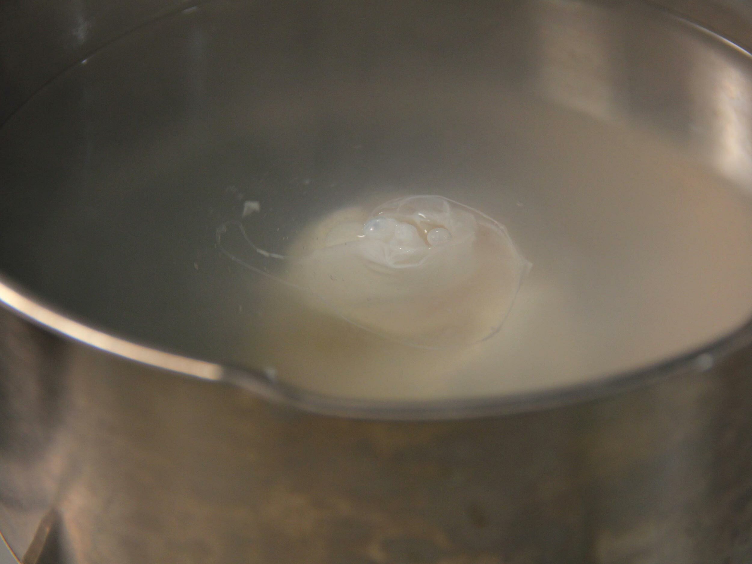 開始製作水波蛋囉：水燒滾後加入少許白醋與鹽巴轉中小火