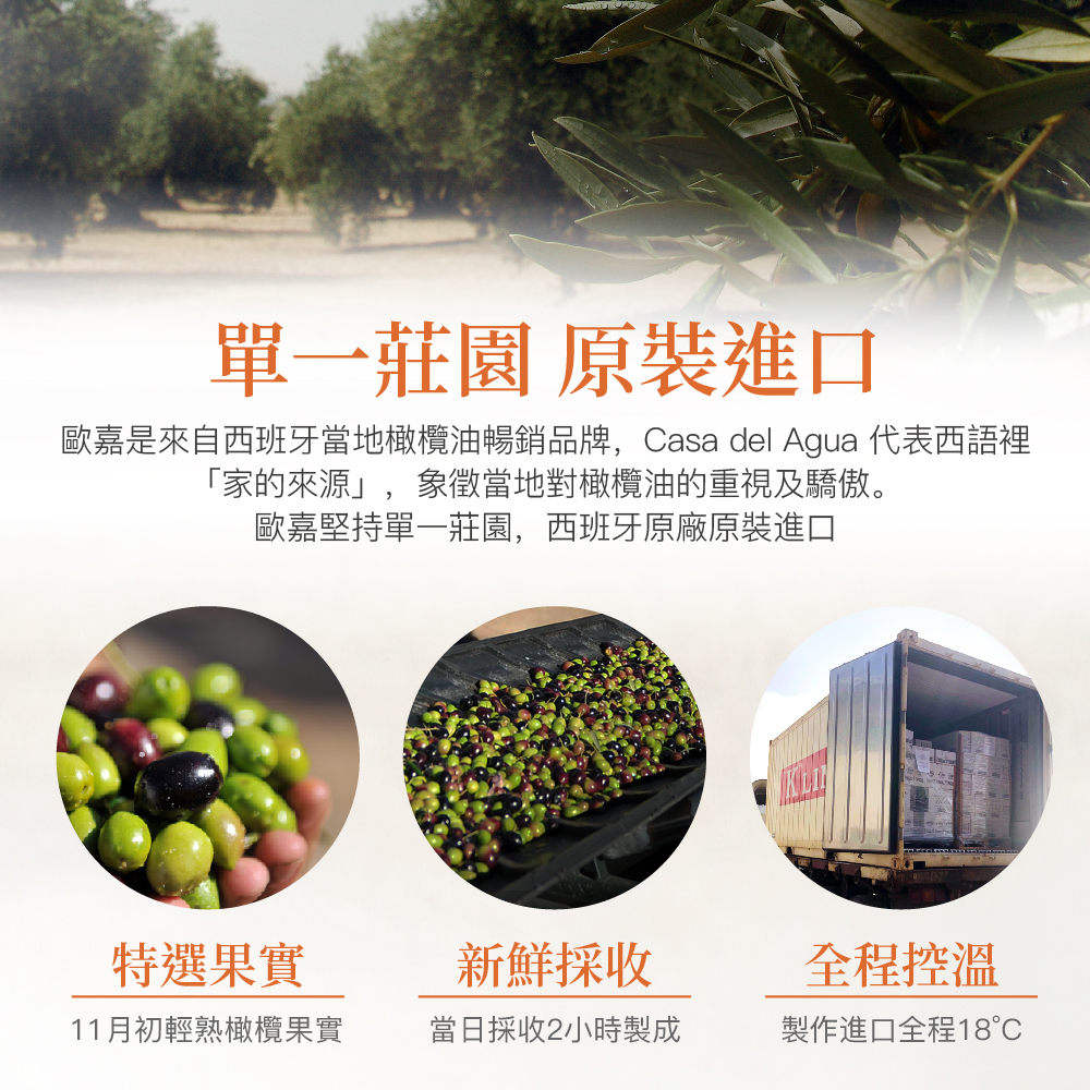 生飲橄欖油|橄欖油推薦|冷壓初榨橄欖油