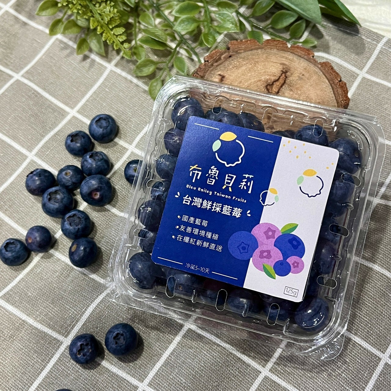 限量預購｜依照訂單陸續出貨-台灣鮮採藍莓 12盒入(免運)｜檢驗410項零農藥殘留｜贈藍莓精品巧克力乙片