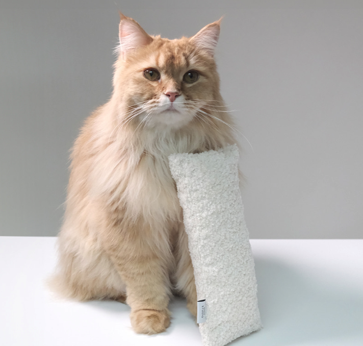 moustudio  | 蟲癭果抱枕 米白