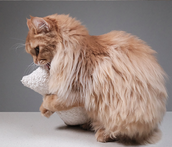 moustudio  | 貓薄荷抱枕 米白