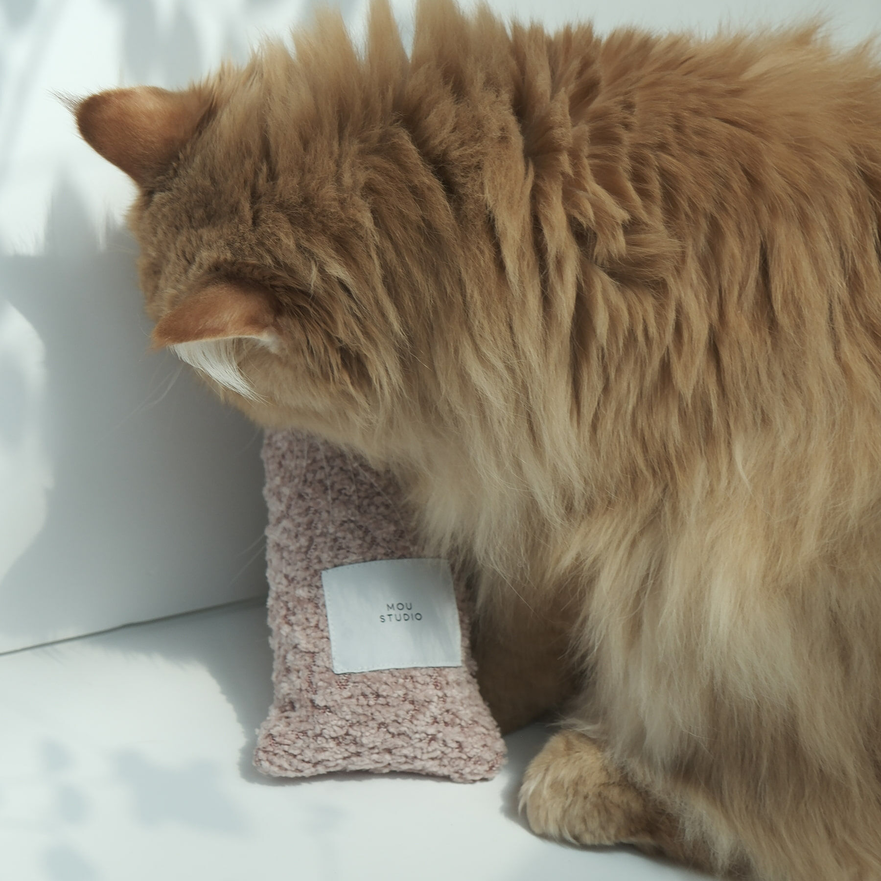 moustudio  | 貓薄荷抱枕 粉色