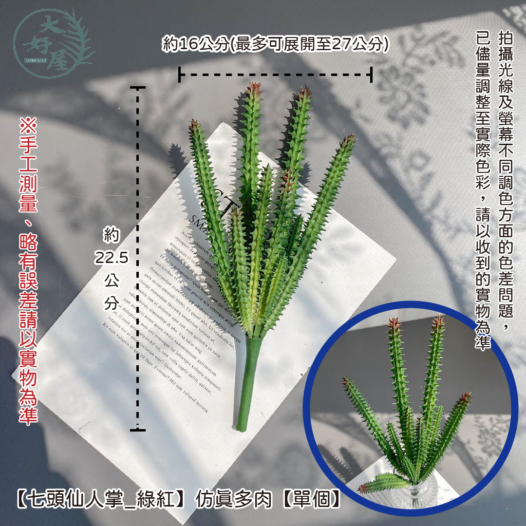 仿真多肉植物-仙人掌類