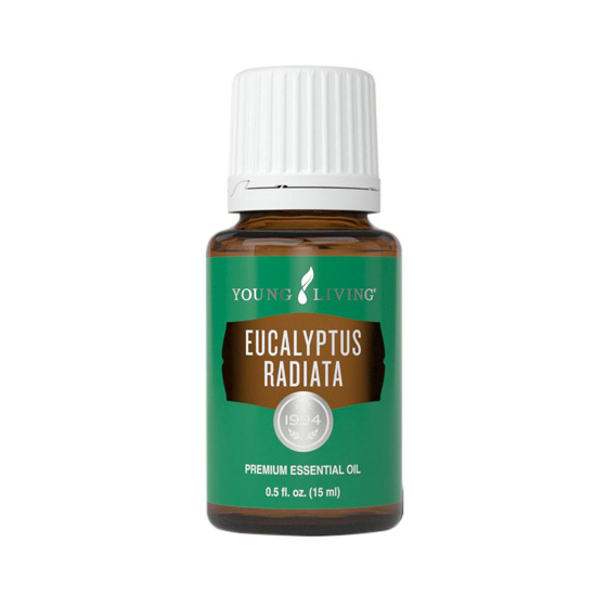 Young Living 澳州尤加利 Eucalyptus Radiata 精油