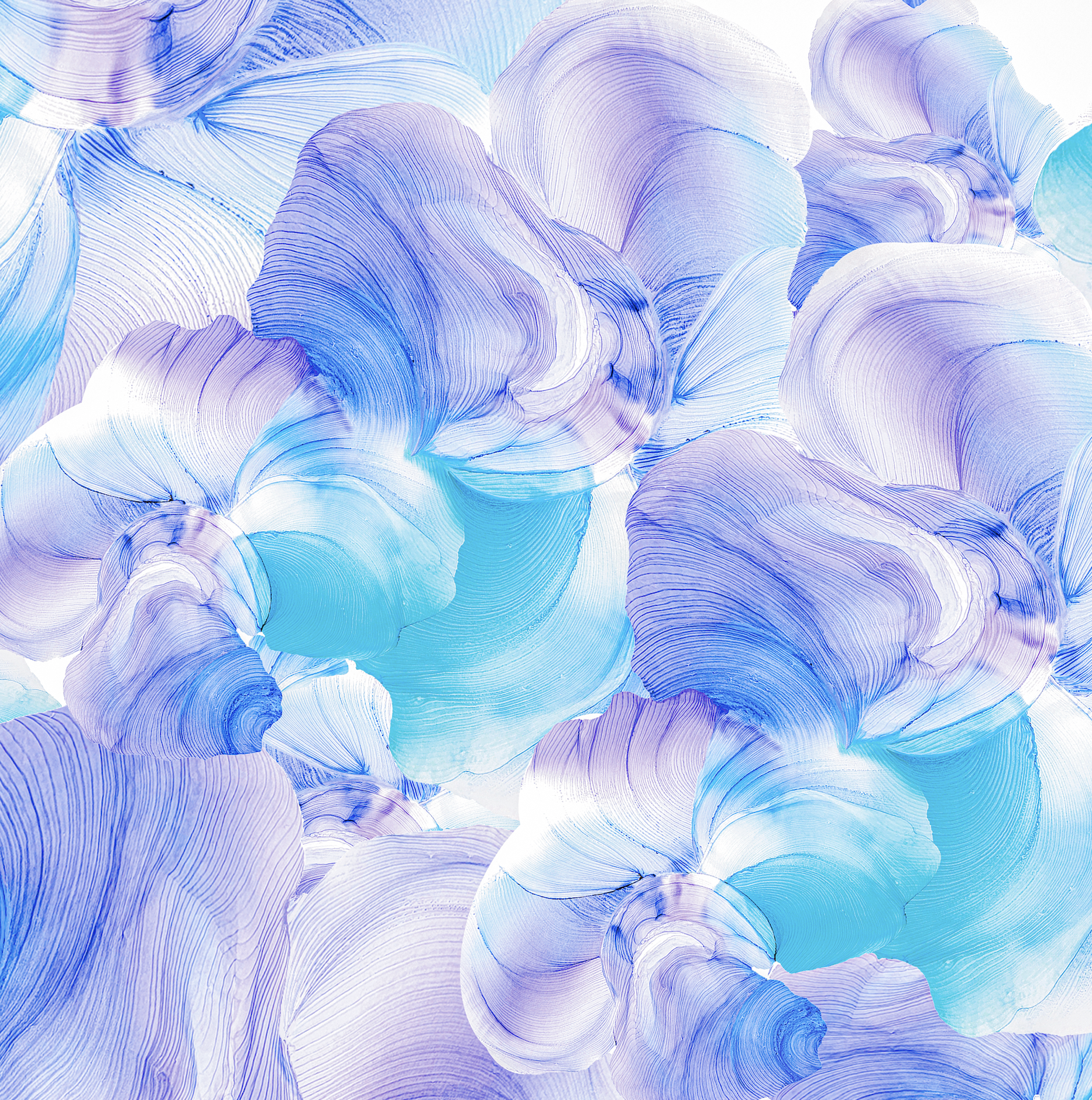 ✏️【AMMB蕾】聯名下身特別款