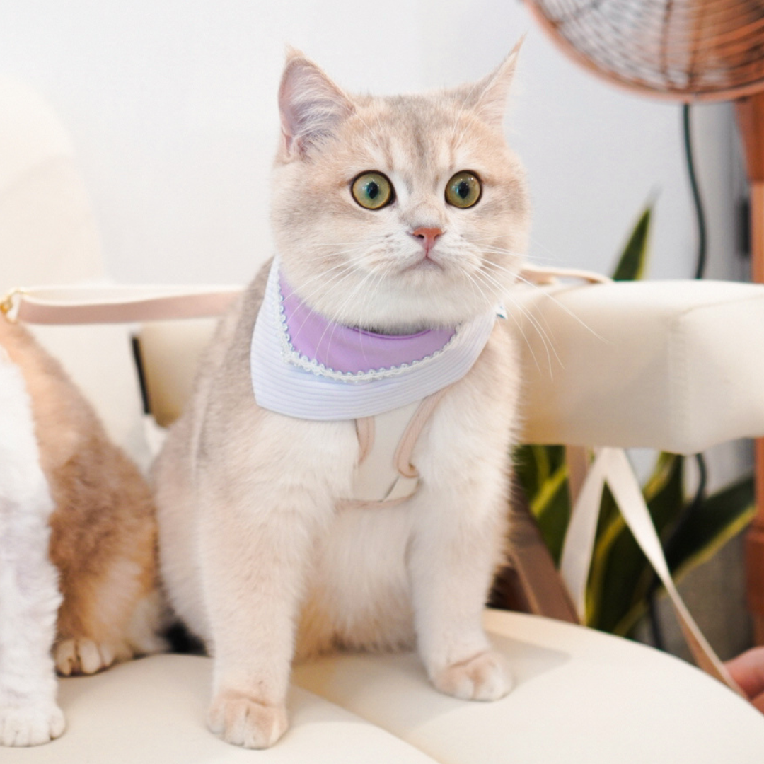 寵物領巾, 狗狗領巾, 貓咪領巾, 貓領巾, 狗領巾