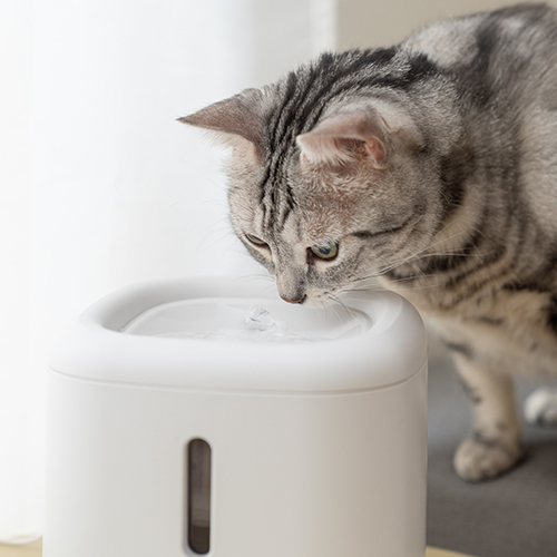 【超商免運全新盒損品】Petpanny陪陪你 循環滅菌寵物飲水機 | 觸控PRO