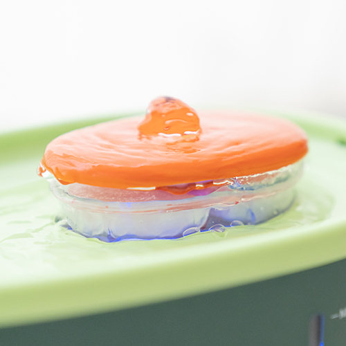 【Petpanny陪陪你】寵物循環飲水機2L | 酪梨