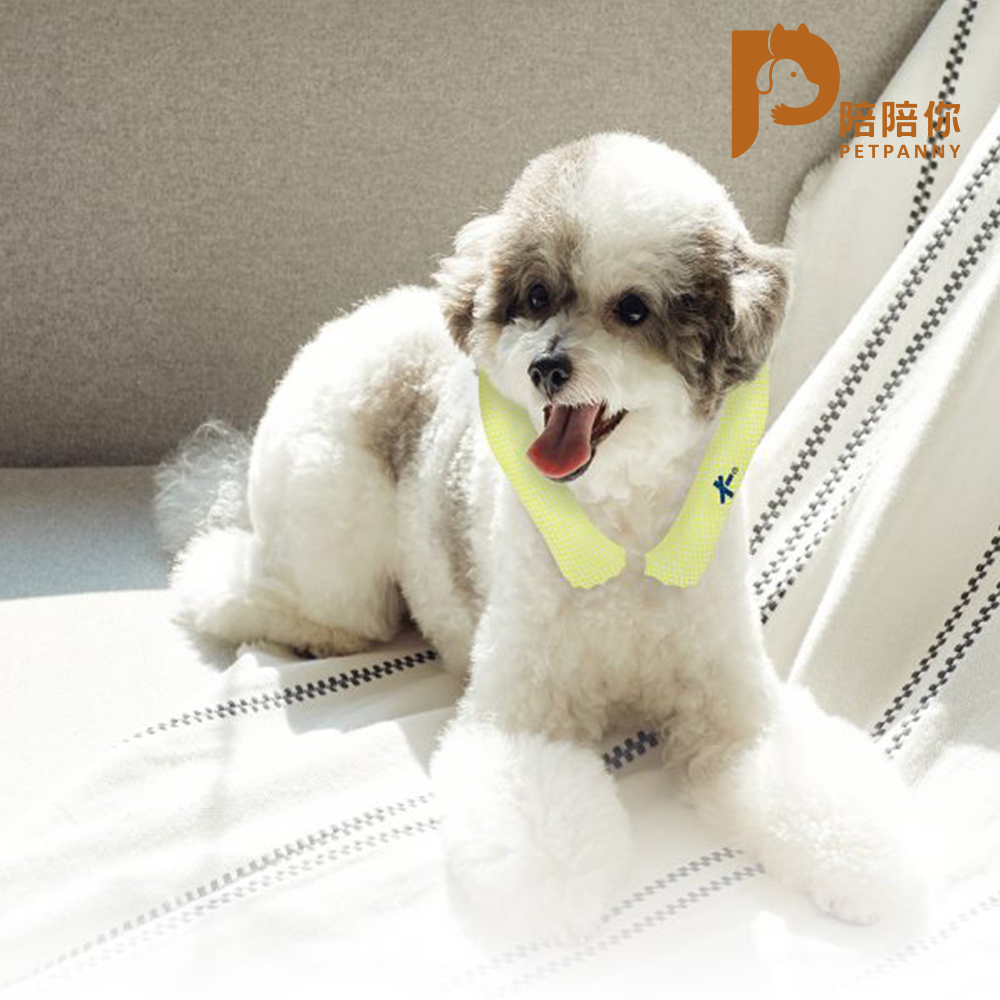 夏日優惠【IDEAKOKO】急速冰鎮酷涼頸圈（犬/貓適用）