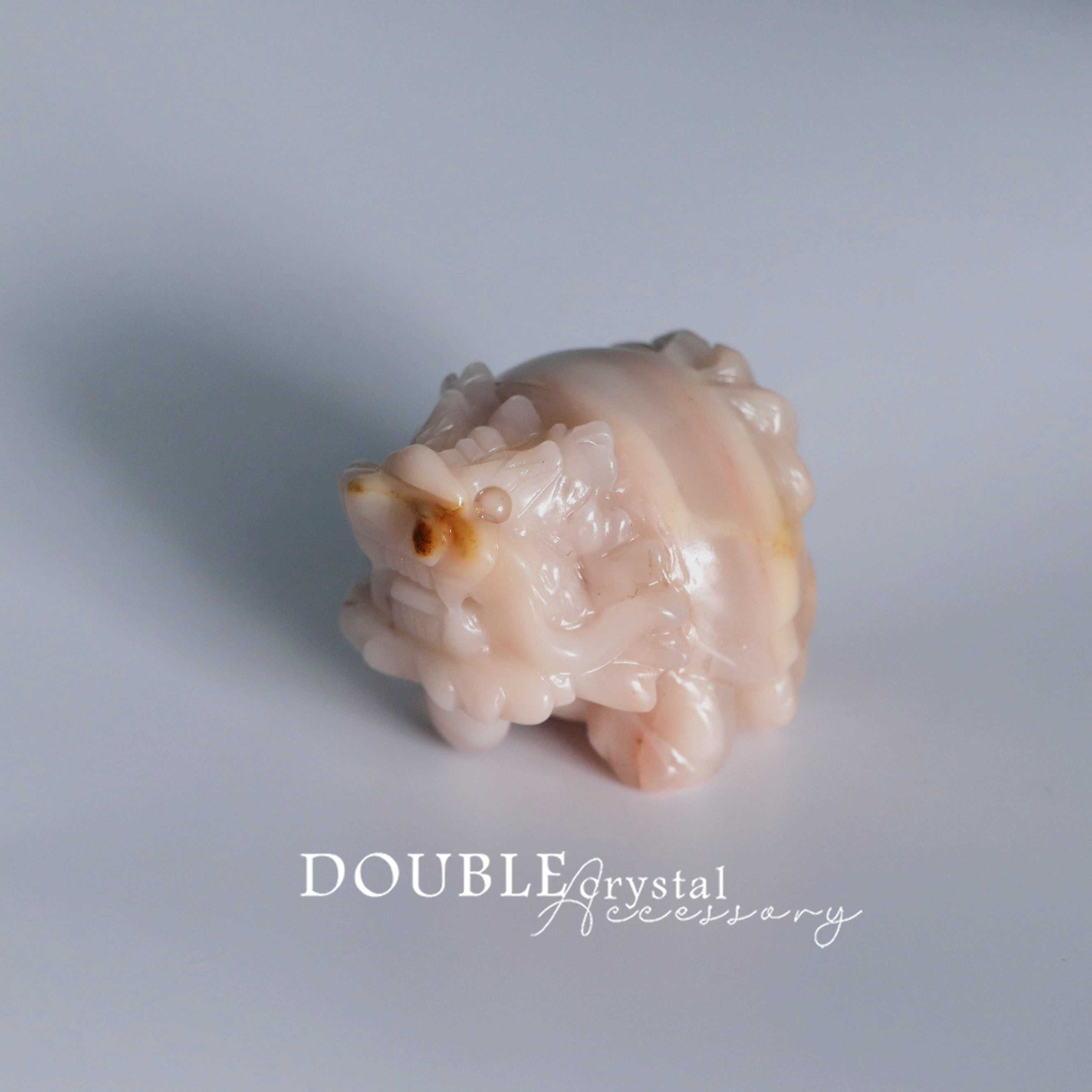 稀有粉色阿拉善龍龜