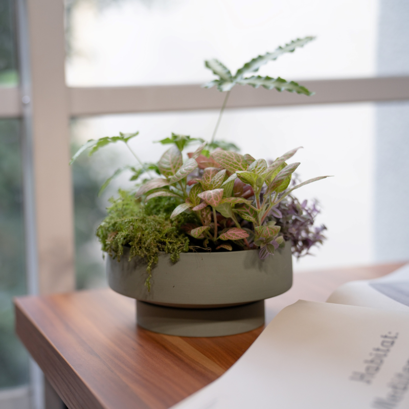 日本 HUNT9 Stef Cadet Blue