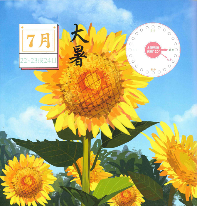 《夏》- 藏在中藥裡的二十四節氣