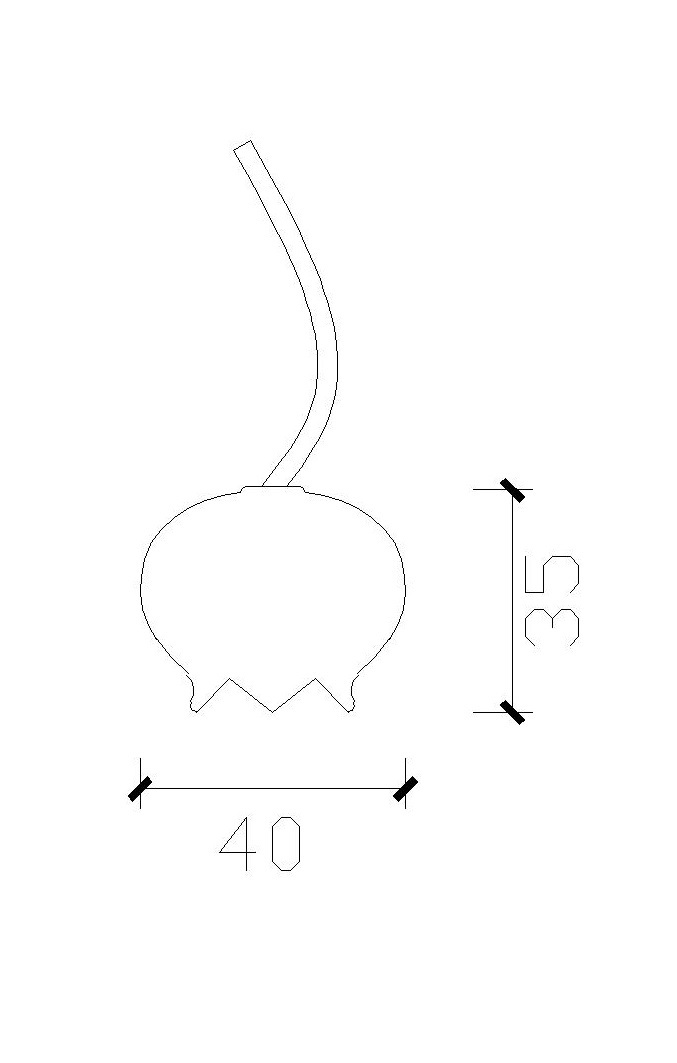 創意實木門把手掛飾原木 (0.5kg)