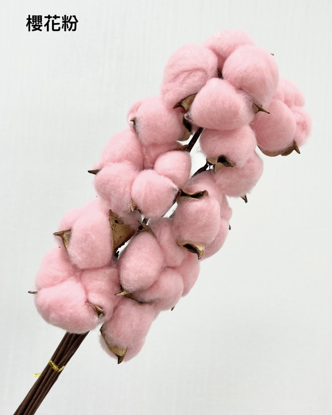 手工棉花-櫻花粉