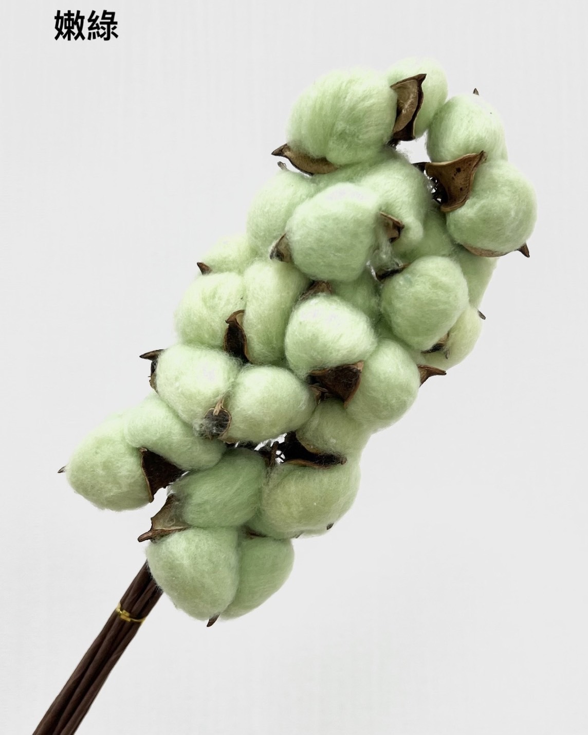 手工棉花-嫩綠