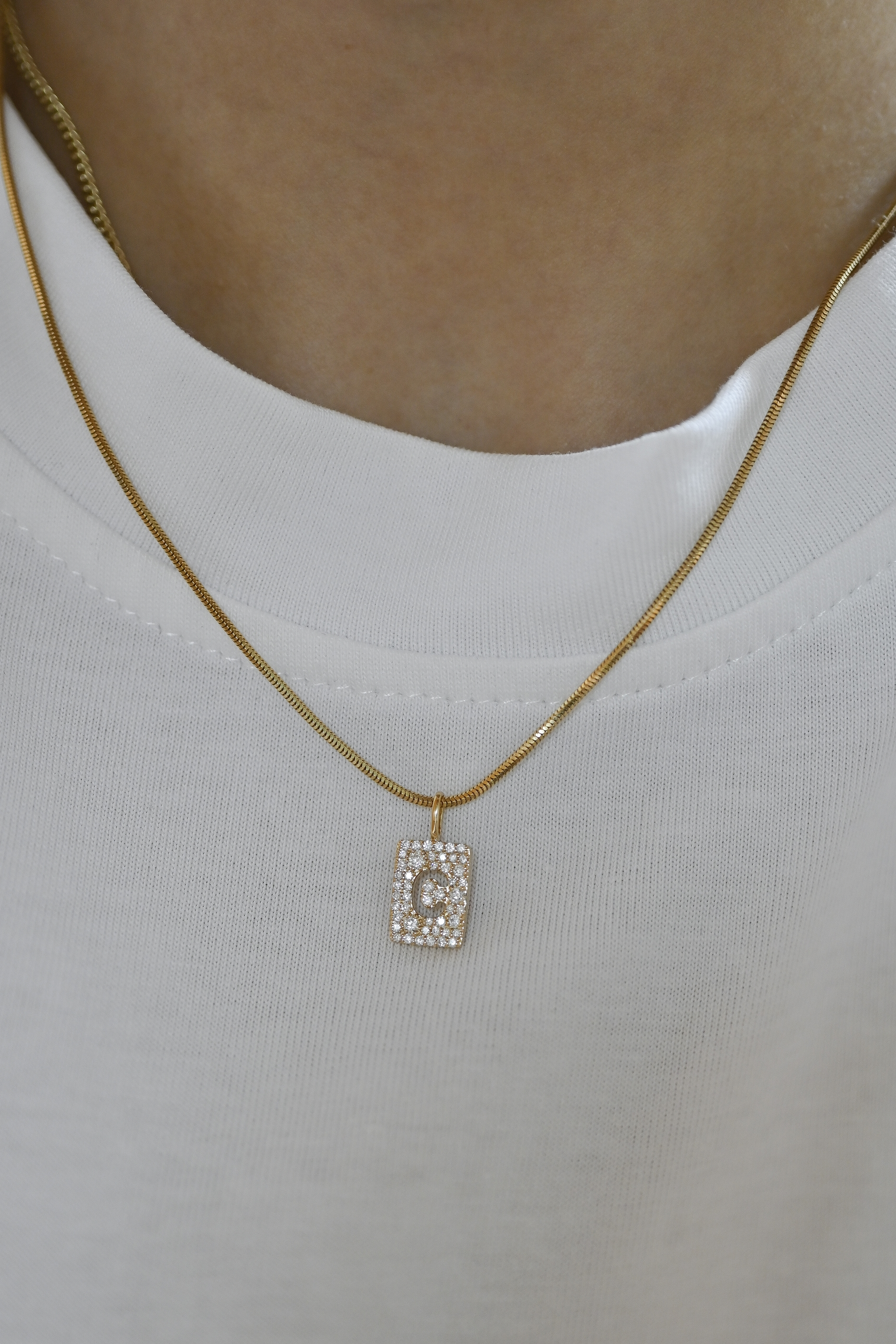 18K Initial Tag Necklace Combo Set A ( with snake chain)