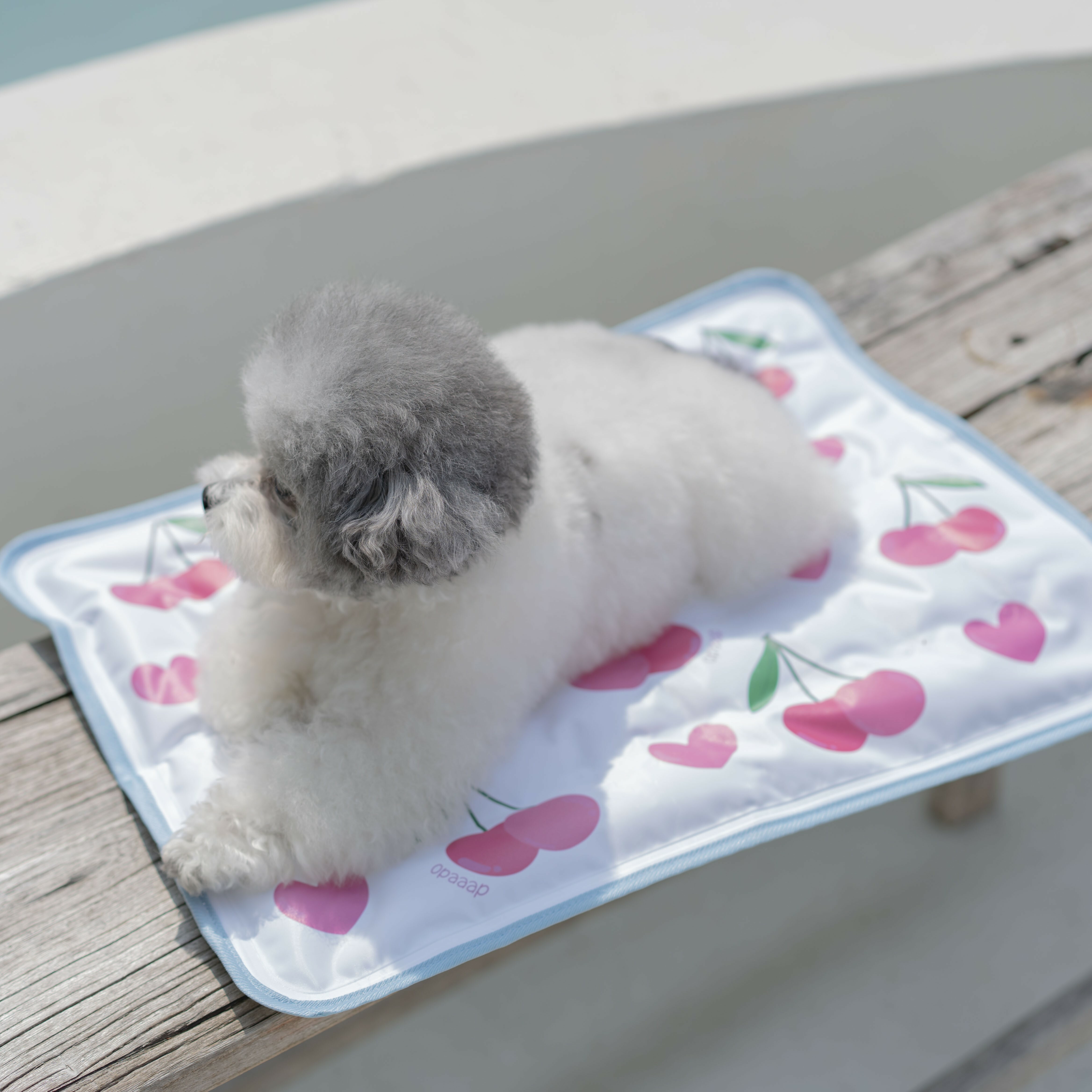 OPAAAP 夏日冷凝墊