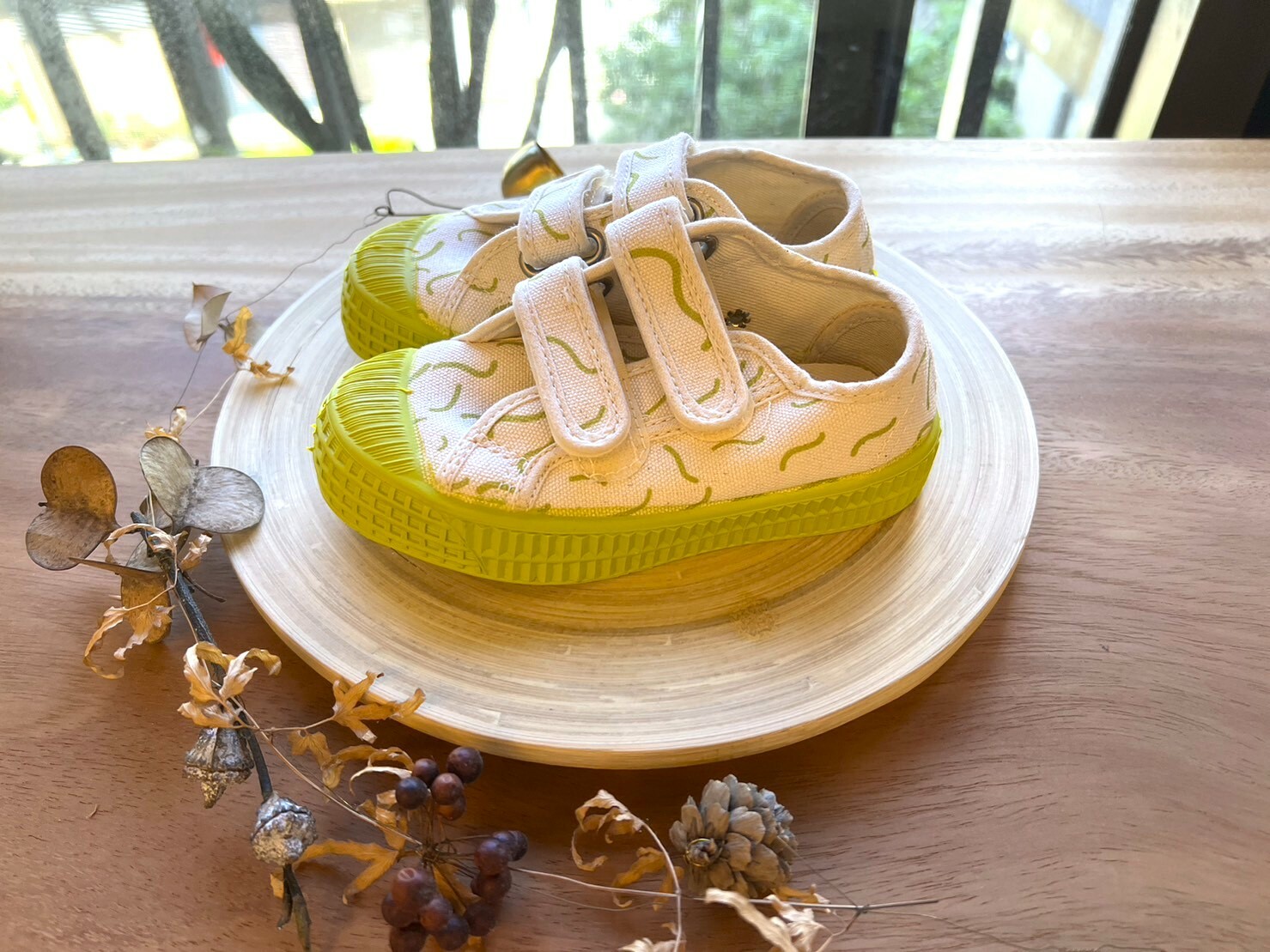 NOVESTA   魔鬼氈帆布鞋 STAR MASTER KID VELCRO  BEIGE/LIMET