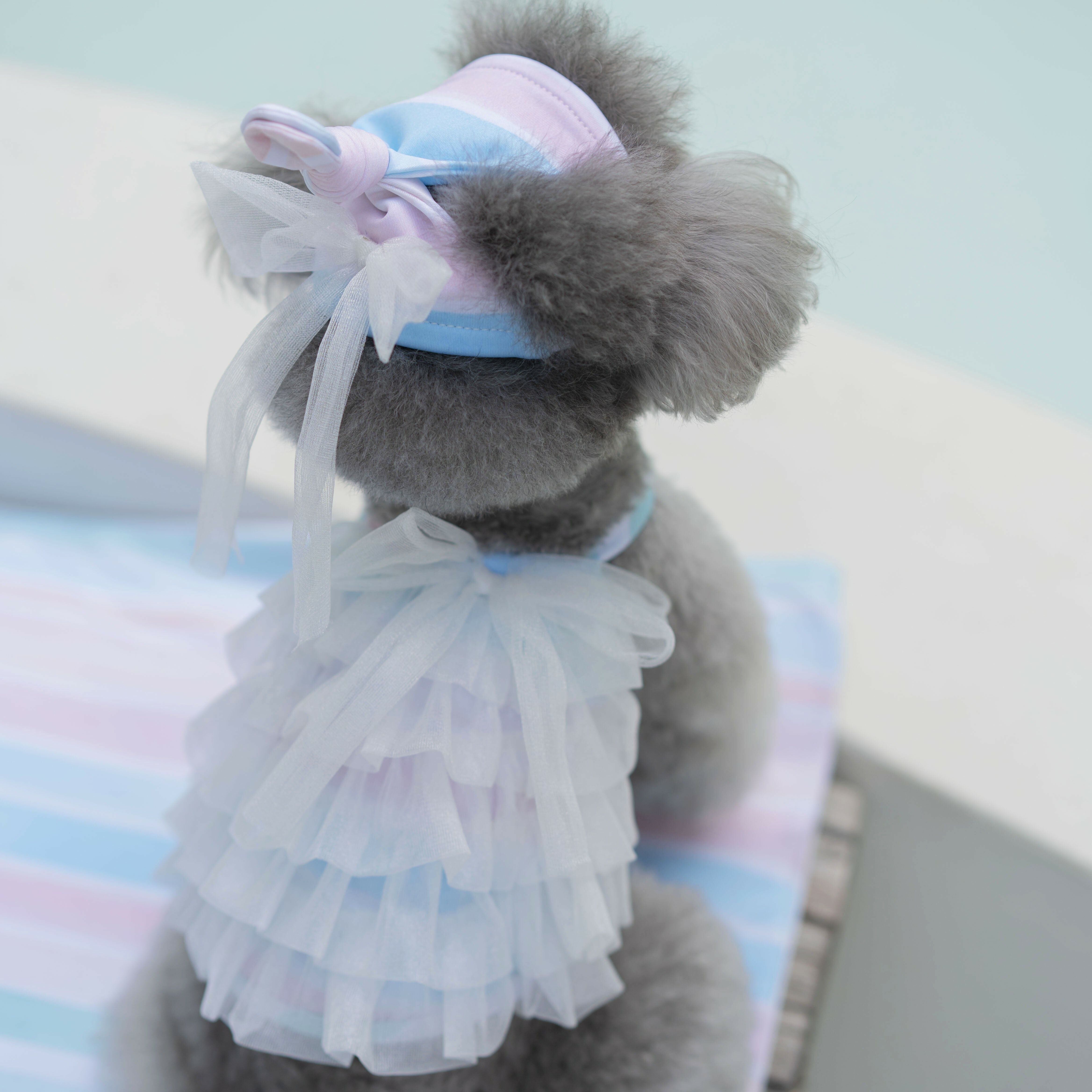 OPAAAP 夏日海灘泳裝泳帽系列