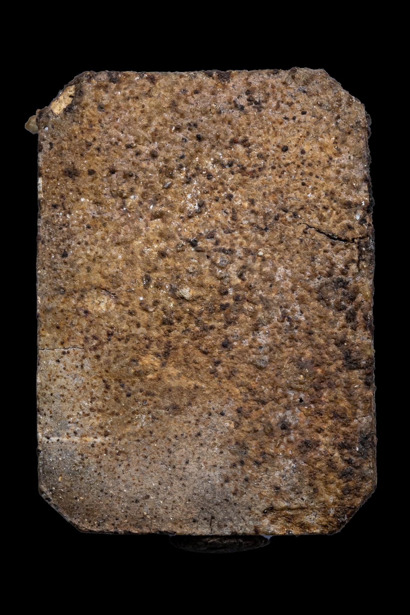 『泰國佛牌』黎逸府 瓦內薩馬奇 帕阿贊丁棟 神獸崇迪『虎咬劍』 02240509