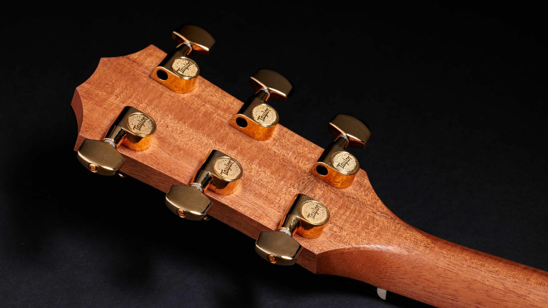 《TAYLOR 《TAYLOR 50週年紀念款》Taylor 50th Anniversary 217e-SB Plus LTD 夕陽漸層 全單板 墨廠 電木吉他 第 4 張圖片｜三峽吉他 / Bass