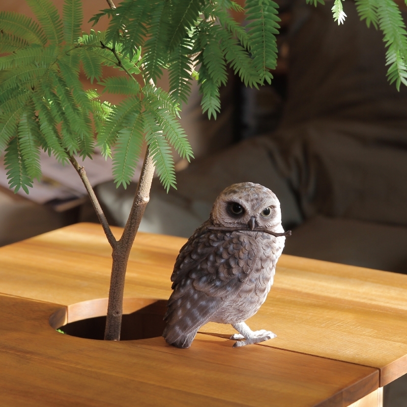 日本 magnet Birdie Bill 【穴鴞】