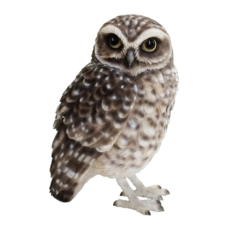 日本 magnet Birdie Bill 【穴鴞】