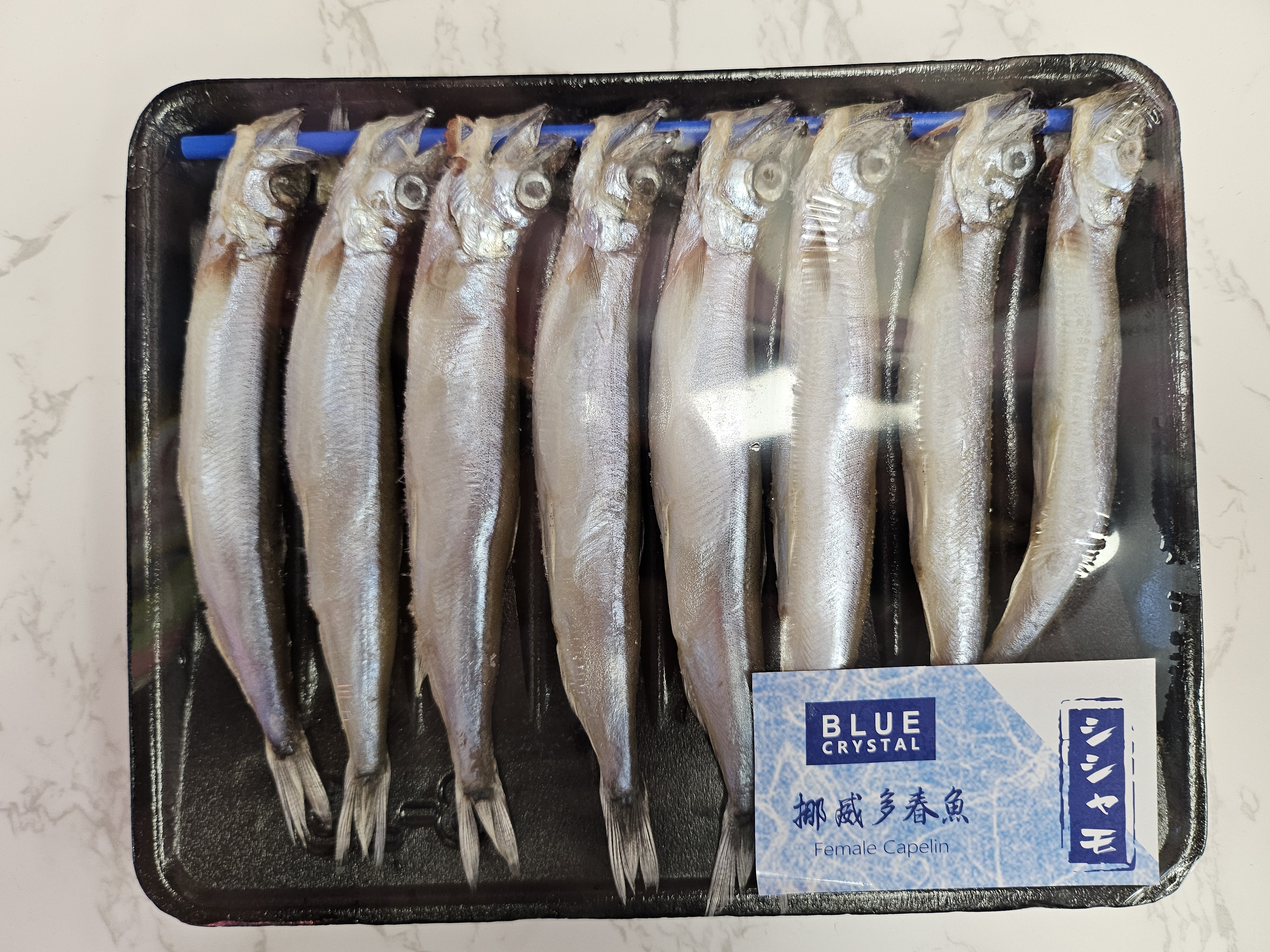 Blue Crystal Female Capelin Fish - Norway