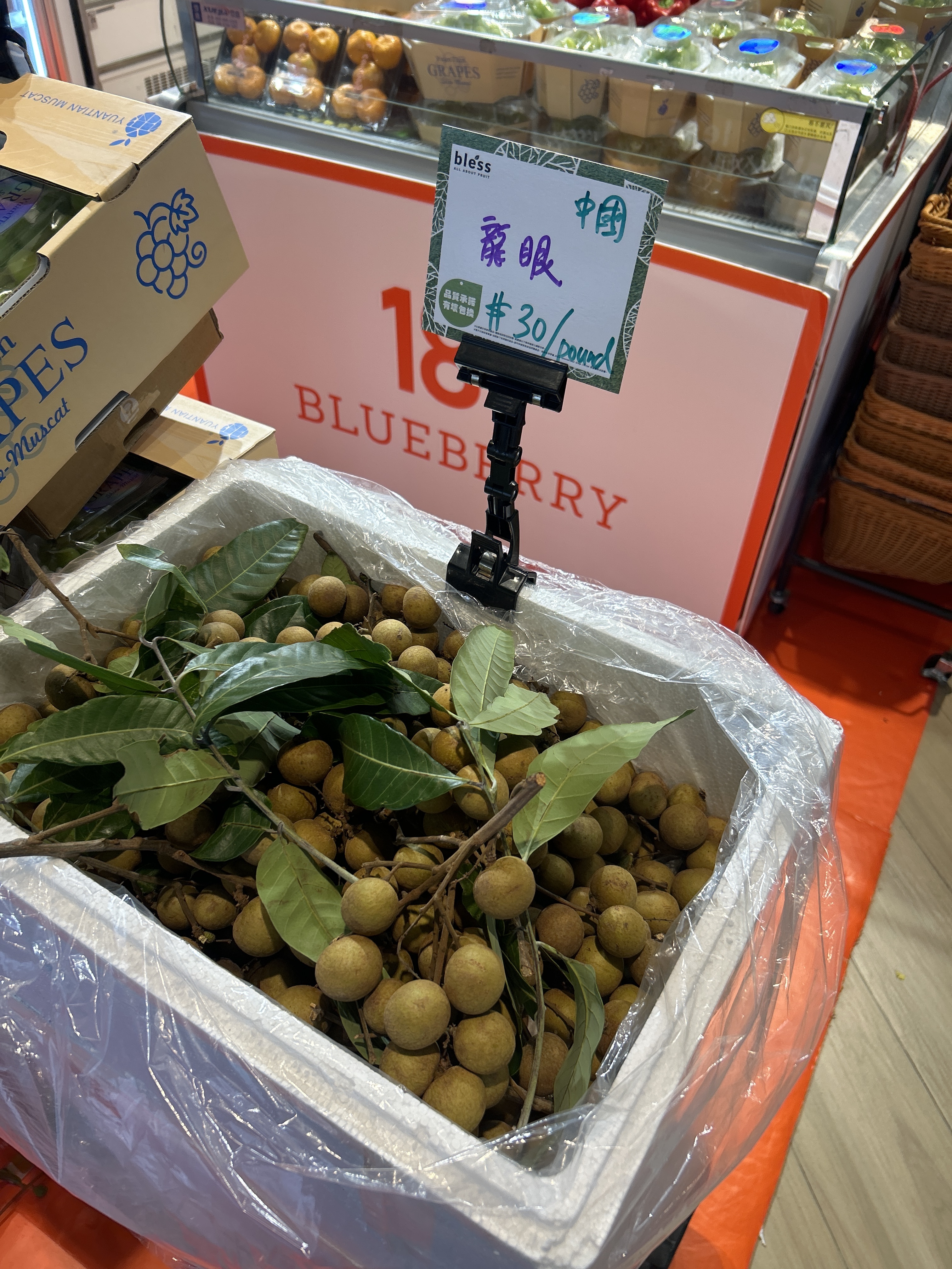 Bless- Fruit - 中國龍眼