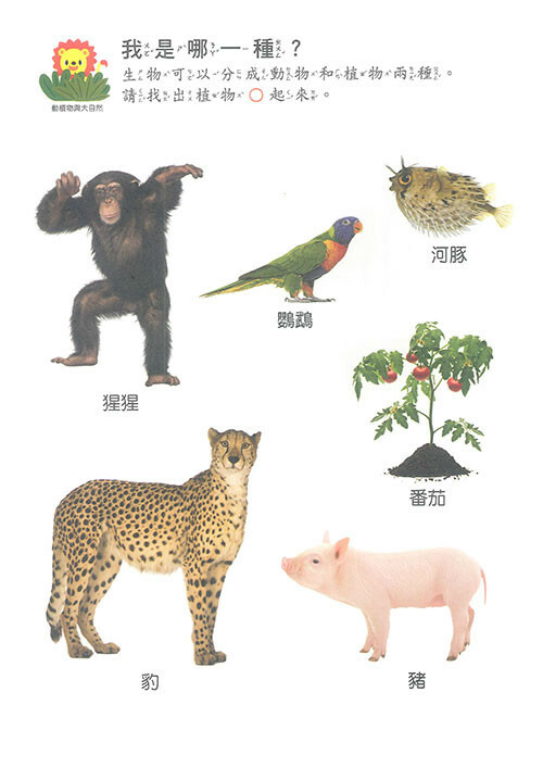 《 上人出版 》自然探索遊戲本