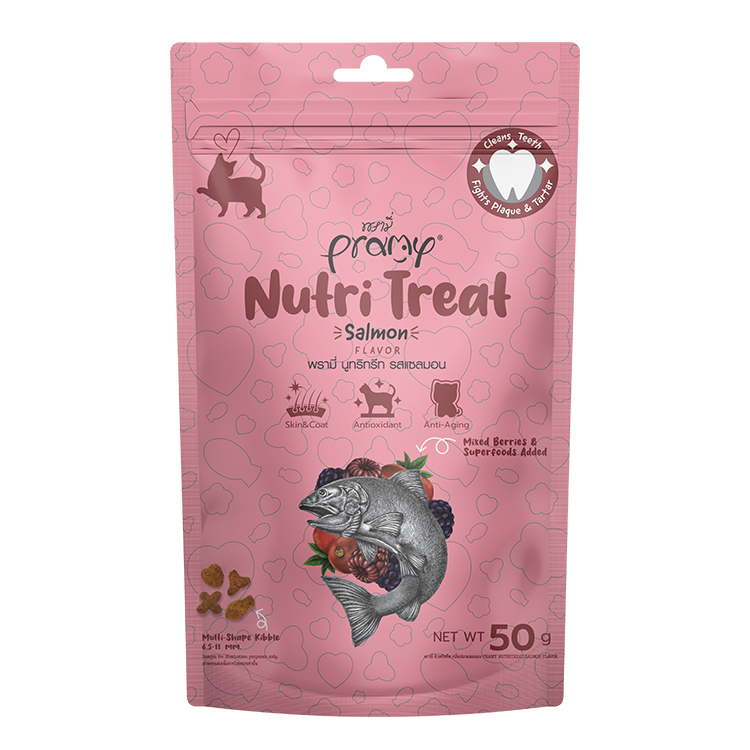 Pramy 香酥脆 鮭魚口味 貓潔牙餅