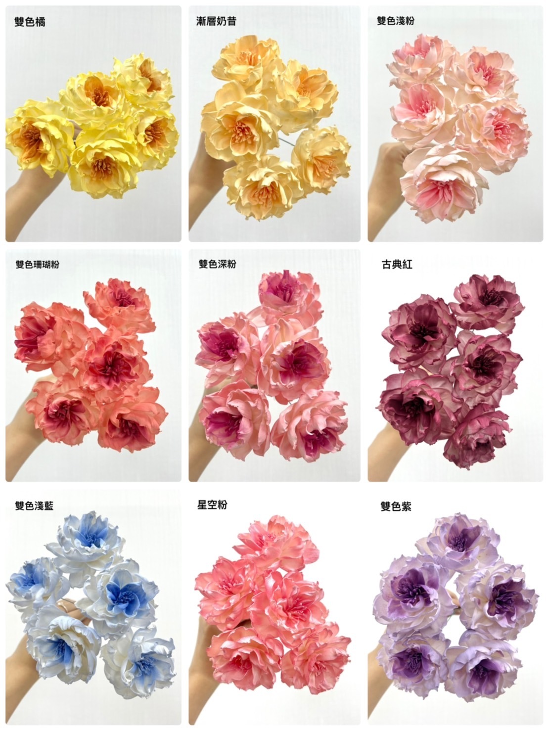 泰國索拉花 尖葉牡丹(開花) 6CM <十支一把> (高品質)