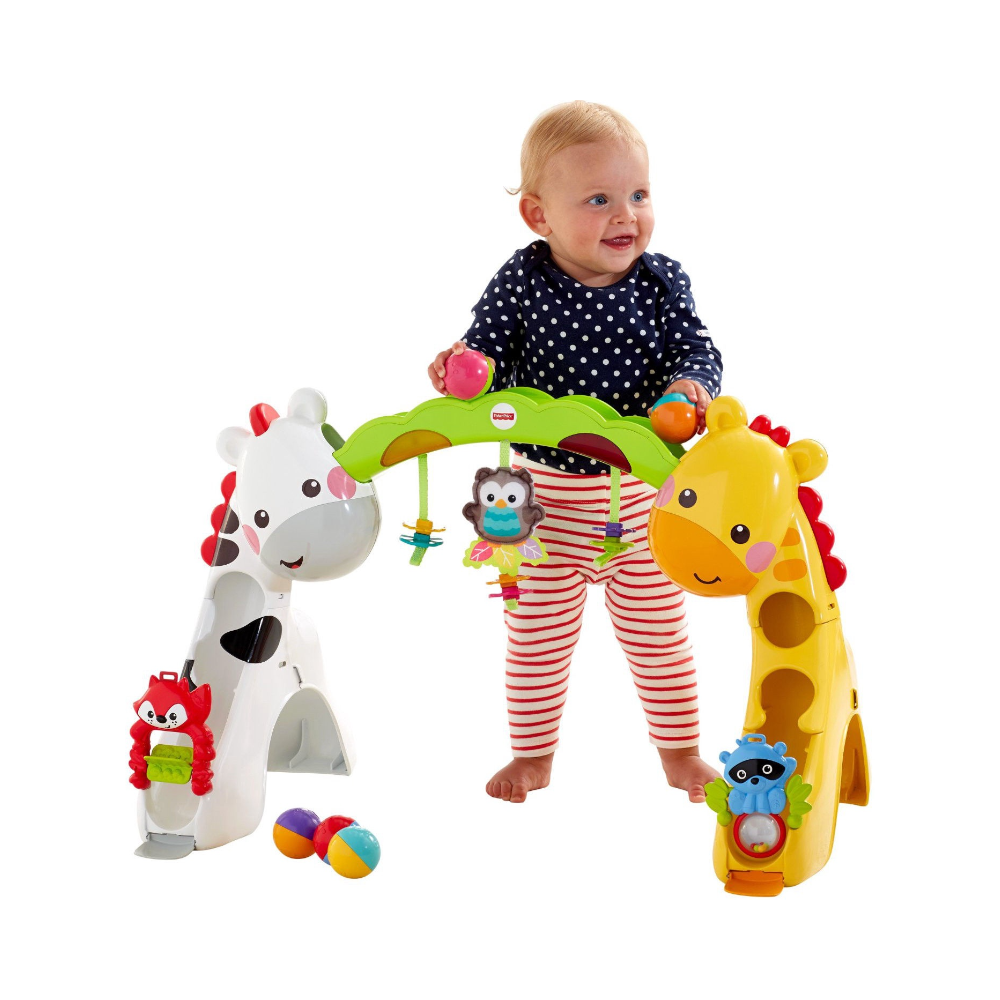 Fisher-Price newborn to toddler play gym