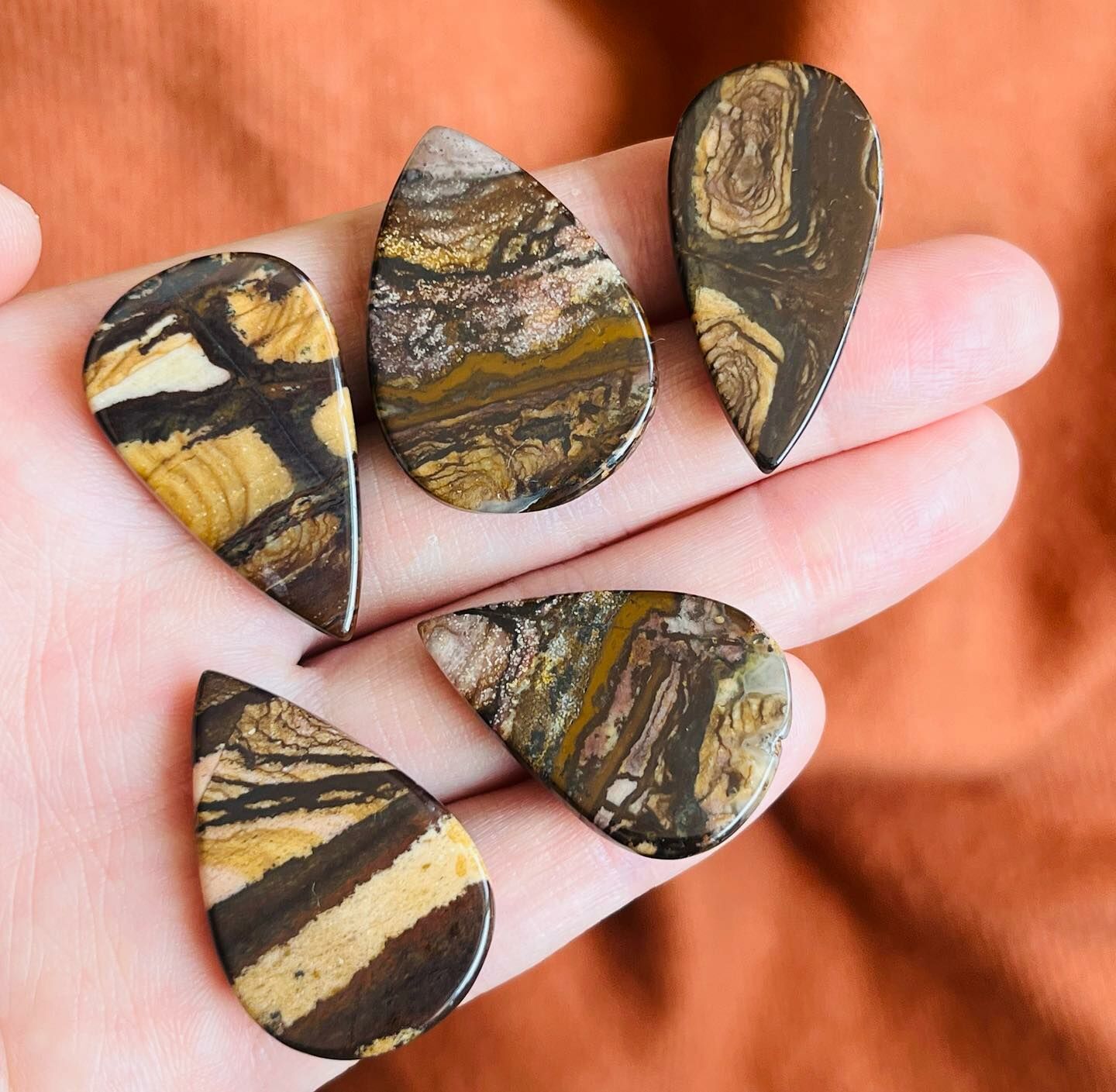 [原石]  矽化木石 / 木化石 水晶墜面