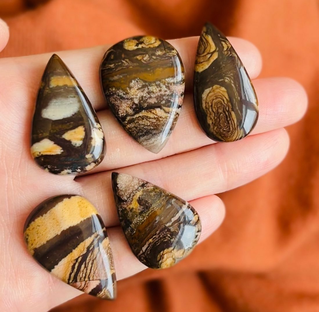 [原石]  矽化木石 / 木化石 水晶墜面