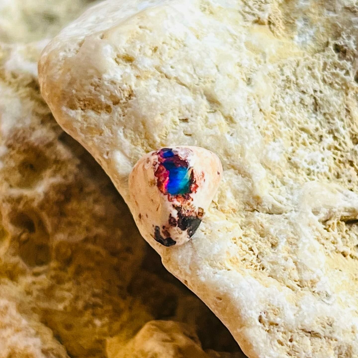 [原石] 墨西哥火蛋白石