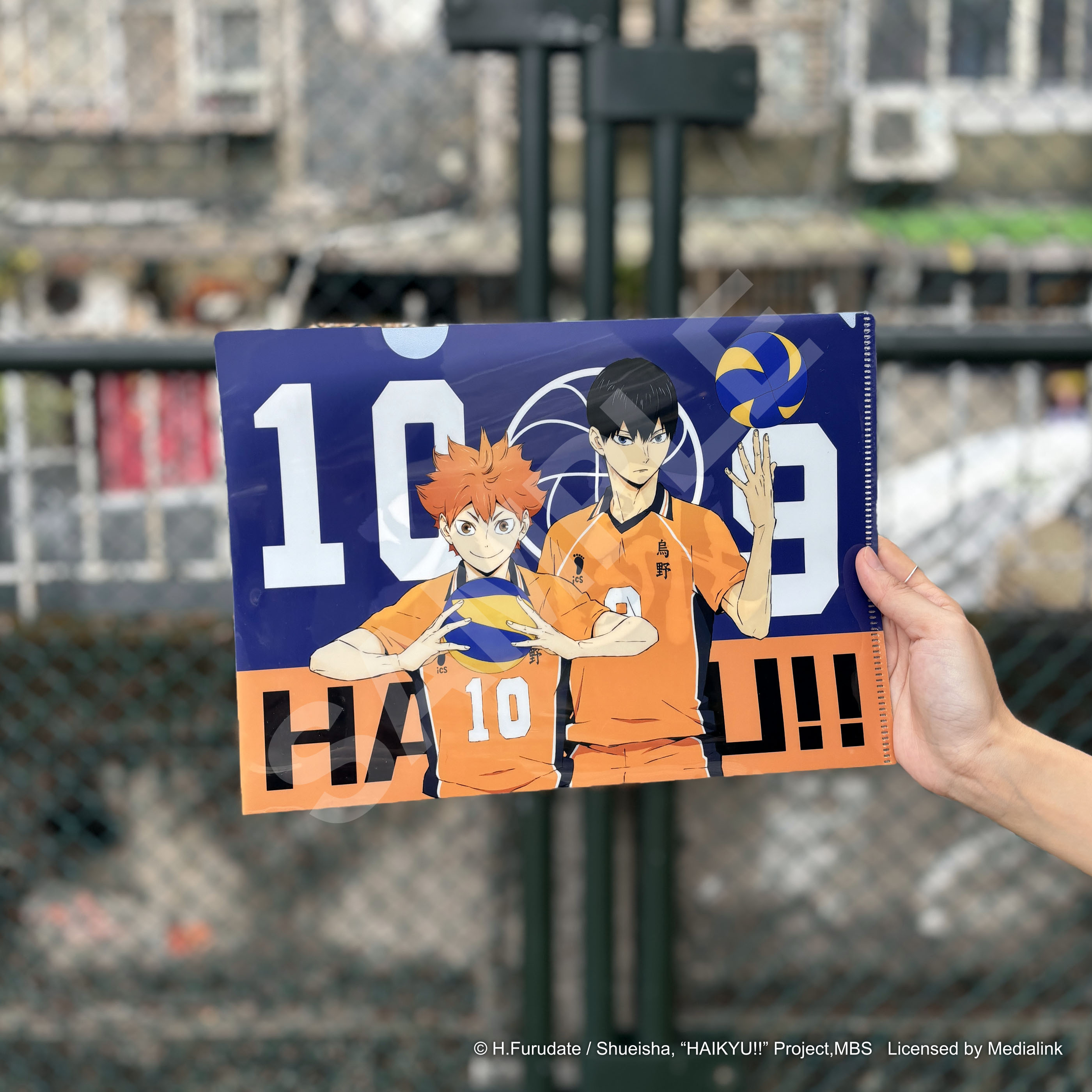 排球少年!!-資料夾-烏野高校