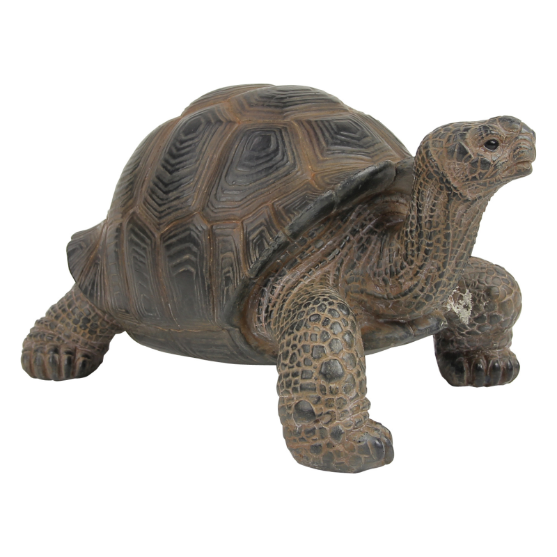 日本 magnet 寵物銀行 【陸龜存錢筒】