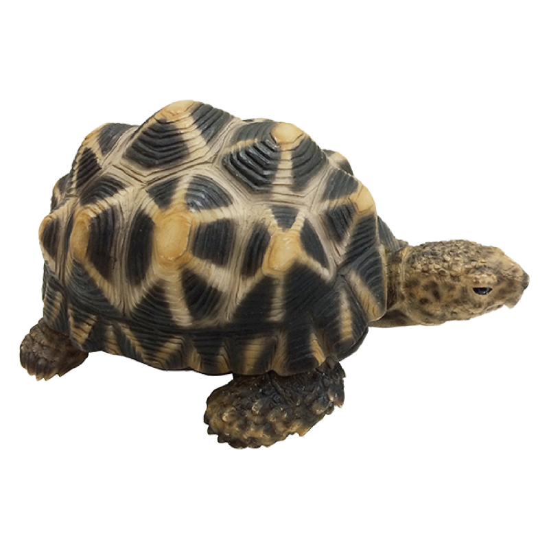 日本 magnet 寵物銀行 【星龜存錢筒】