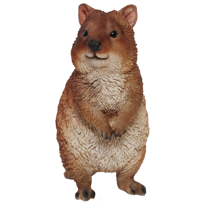 日本 magnet 寵物銀行 【短尾矮袋鼠存錢筒】