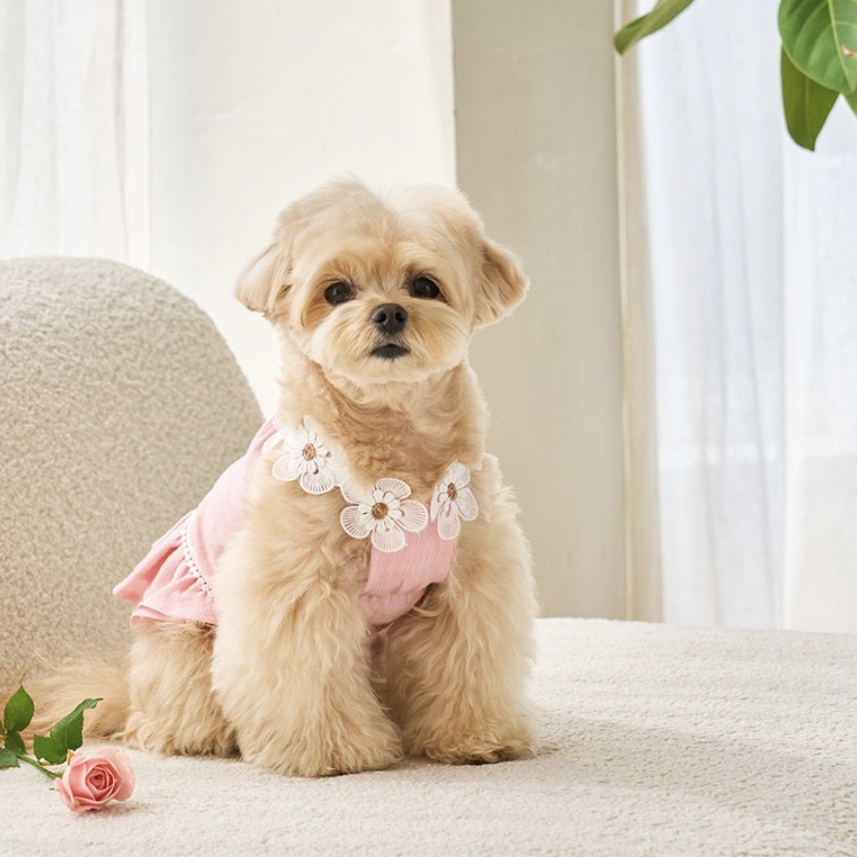 Daisy Linen 涼夏亞麻花裙-桃粉 It’s sunny outside