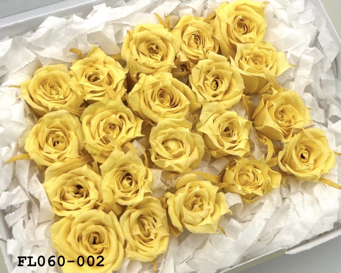 日本不凋拇指玫瑰(20朵) FL060-002