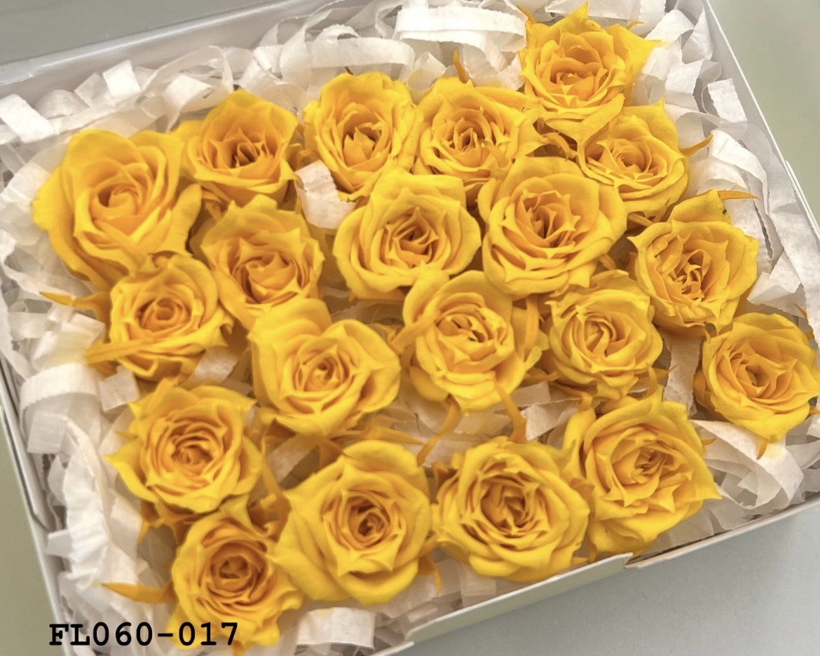 日本不凋拇指玫瑰(20朵) FL060-017