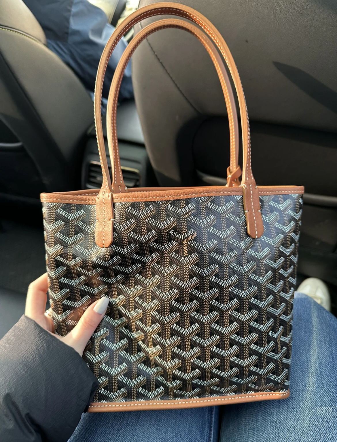 Goyard Anjou Mini Tote