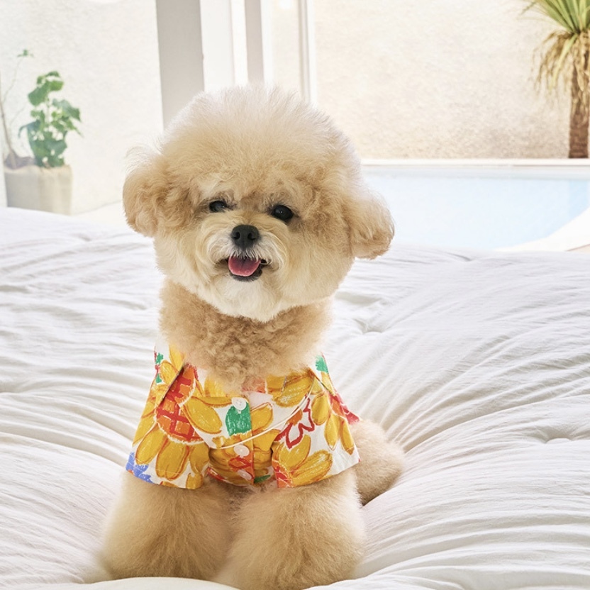 SunDress夏日花襯衫 (向日葵) - It’s sunny outside