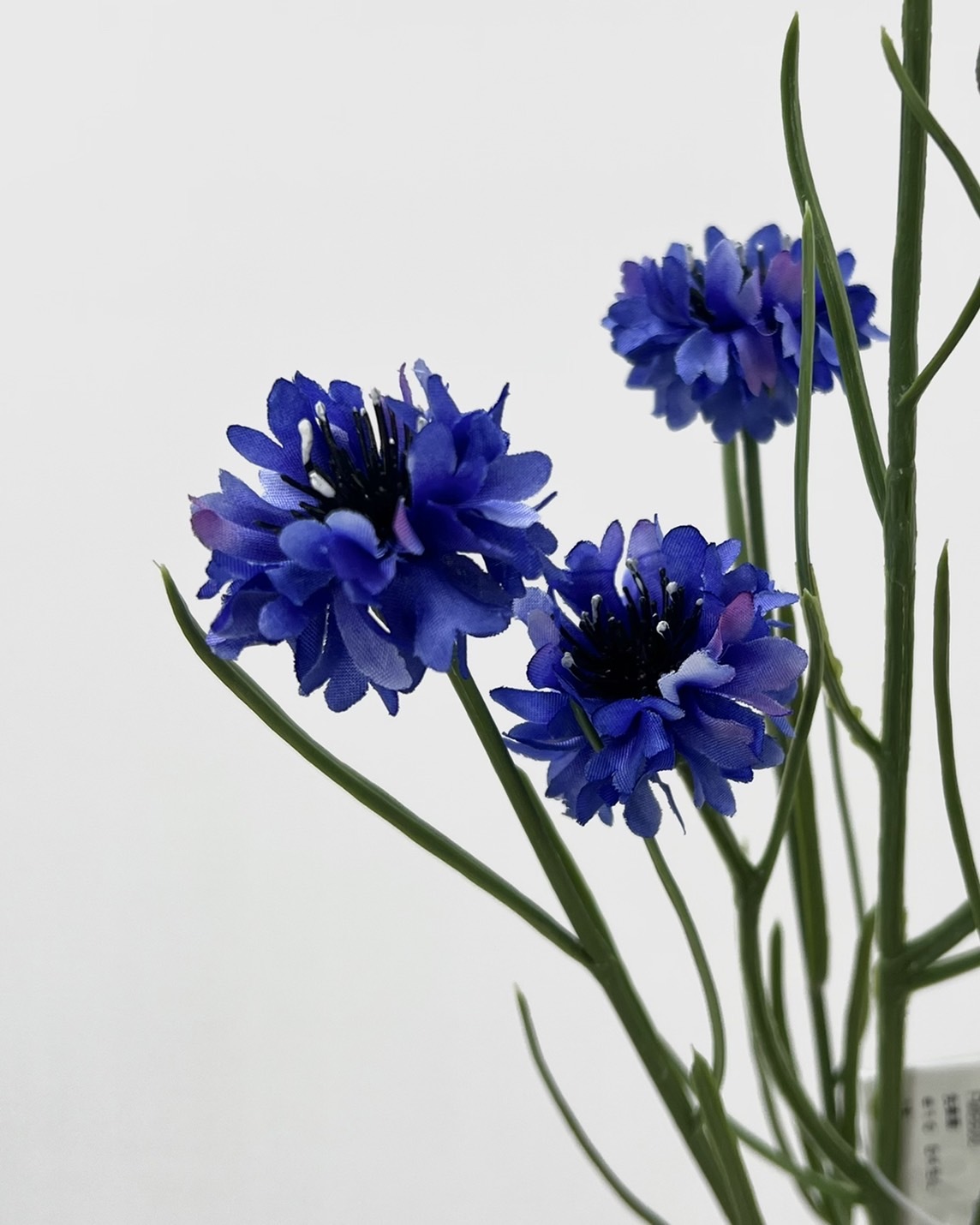 日本擬真花 矢車菊 FM6600系列