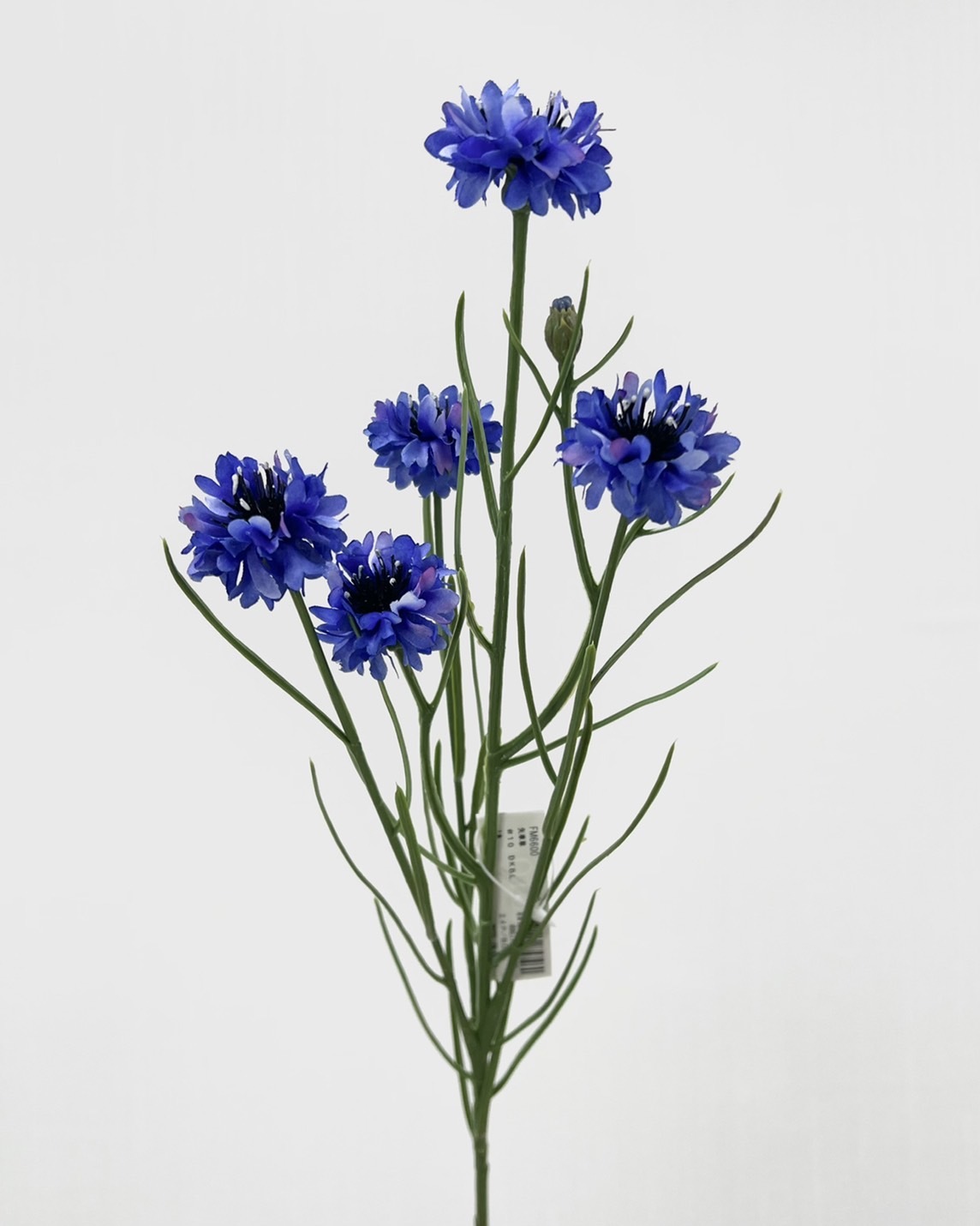 日本擬真花 矢車菊 FM6600系列