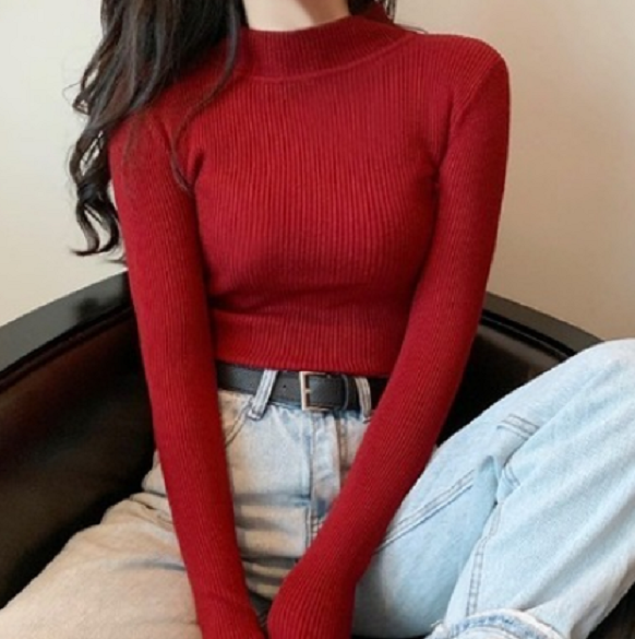 Layered Base Layer Slim Tight Turtleneck Knit Sweater (Burgundy) (Size: One Size)