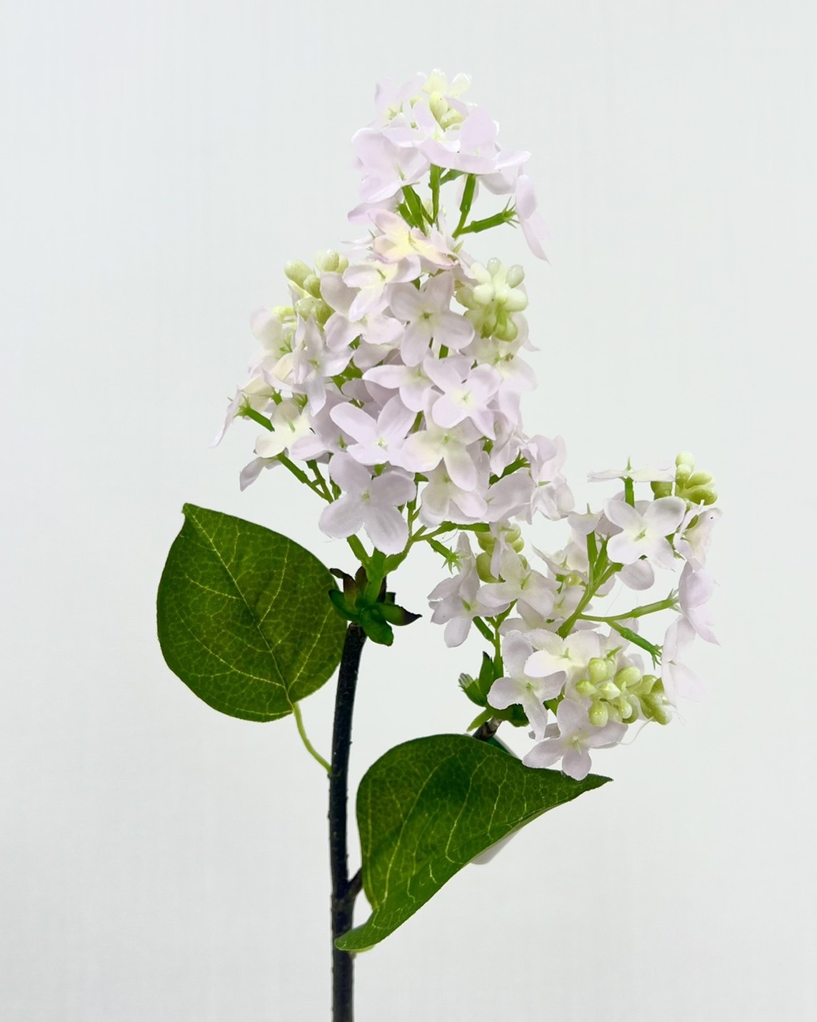 日本擬真花 丁香 FM3797